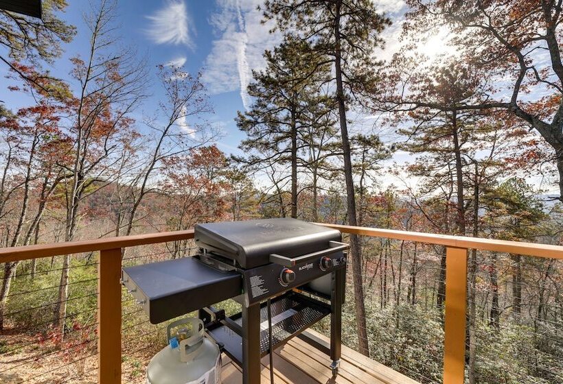 Modern Mountain View Sanctuary In Pisgah Forest