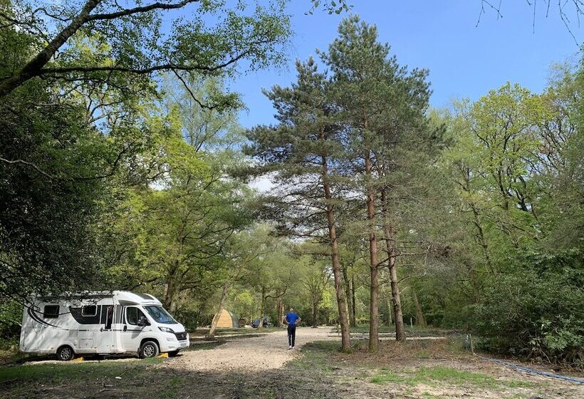 Nightjar Cabin At Cloudshill Glade