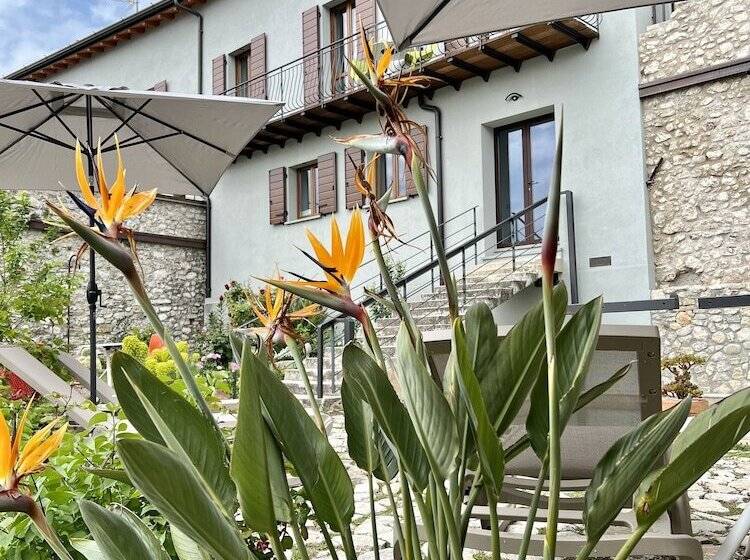 پانسیون Villa Del Lis