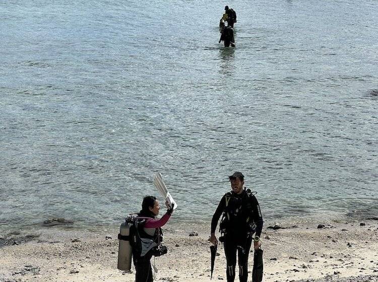 استراحتگاه South Pacific Memories