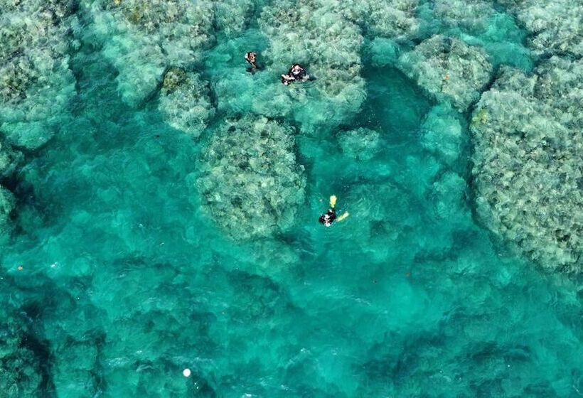 استراحتگاه South Pacific Memories