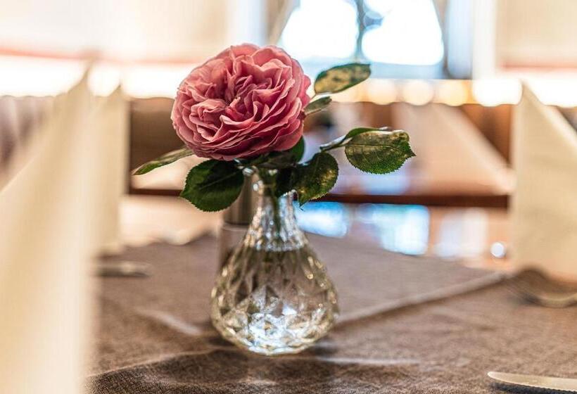 ユースホステル Gasthof Fischer Dörnbach