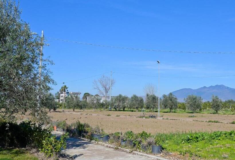 تختخواب و صبحانه Don Peppes : Villaggio Green