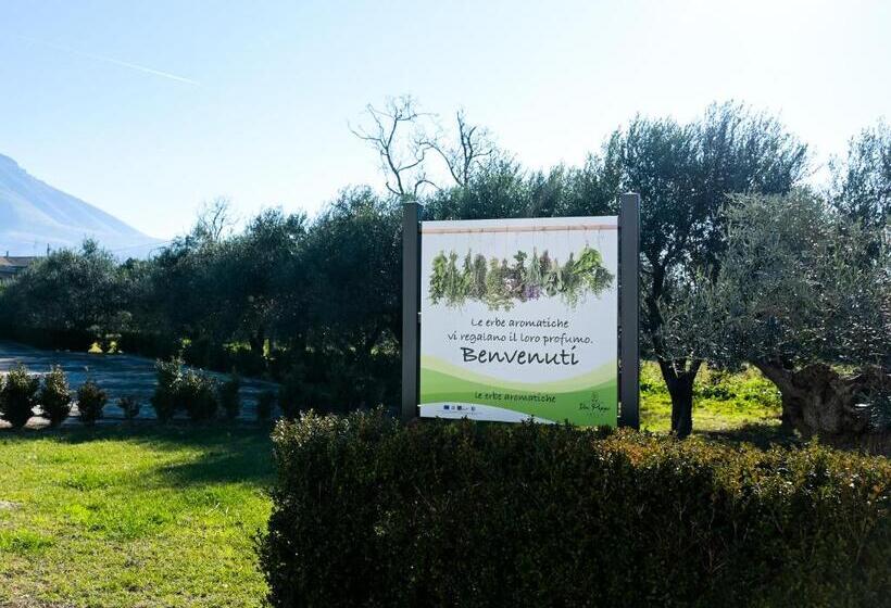 تختخواب و صبحانه Don Peppes : Villaggio Green