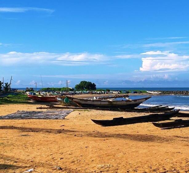 פנסיון The Serene House