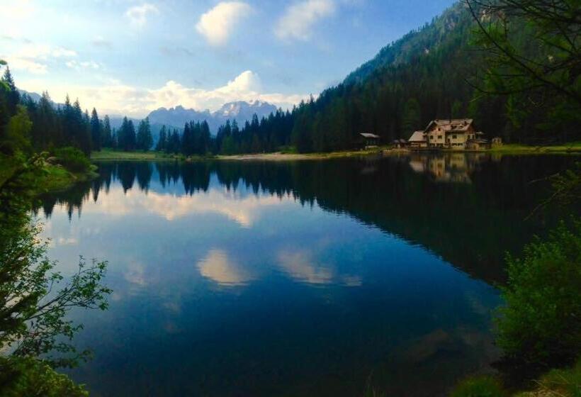 Tonale 3