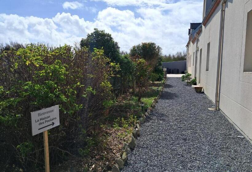 住宿加早餐  La Maison Des Poulains