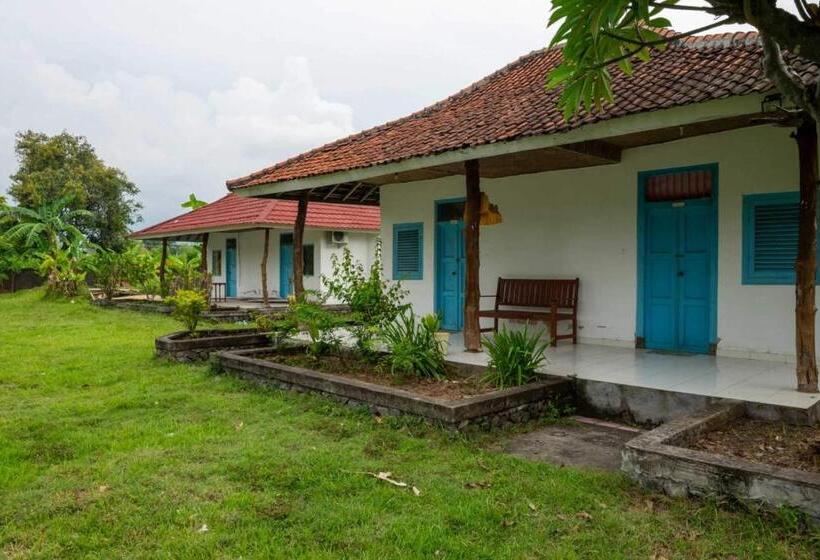 هتل Hepi Bungalow Lovina Mitra Reddoorz