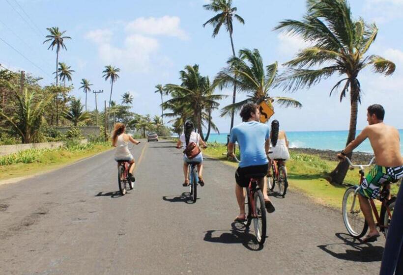 پانسیون Puerto Playero Y El Mar De Los 7 Colores