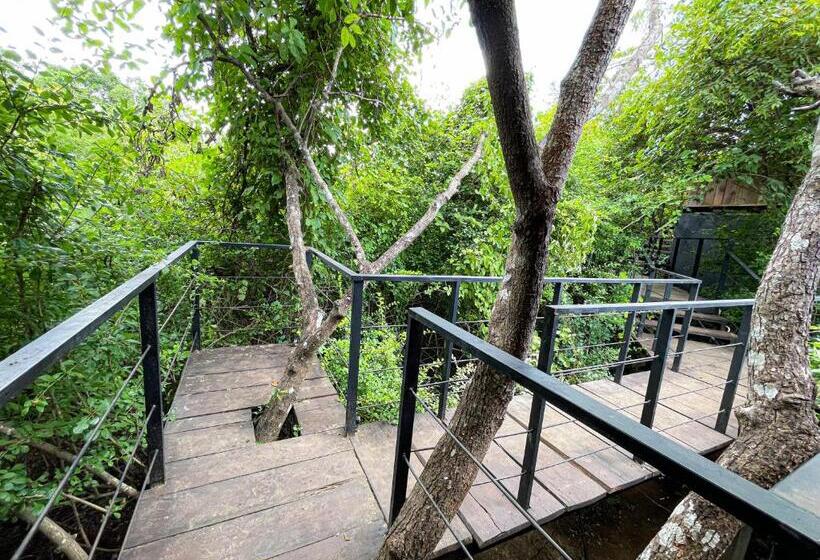 Курорт The Wild Yala