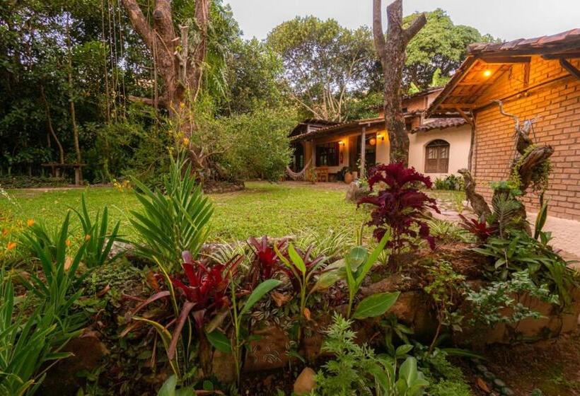 Hospedaria Quintal Dos Sonhos