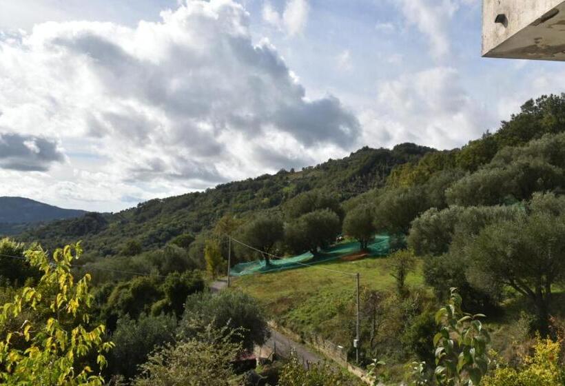 Marsilio B&b