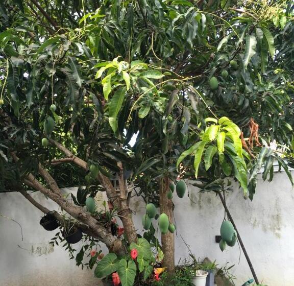 민박 Moon Deck Villa