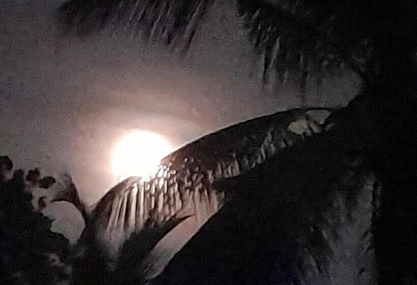 민박 Moon Deck Villa