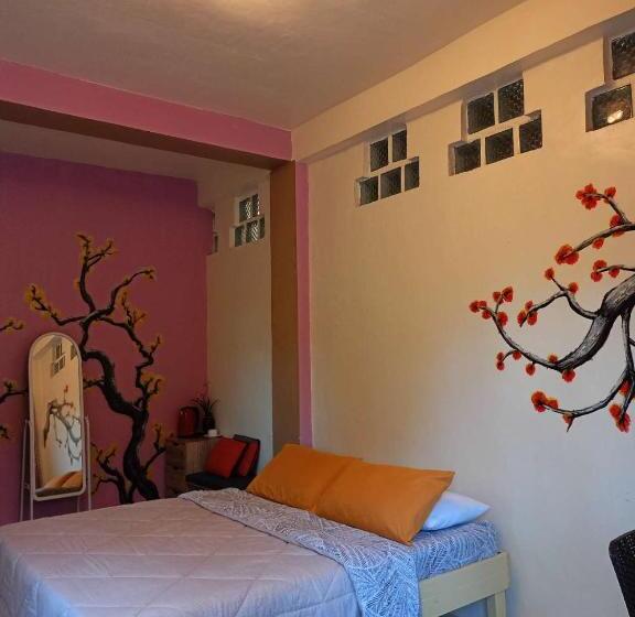 ホテル Klub Safari Tourist Inn