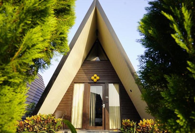 Отель Vindhyachal Resort