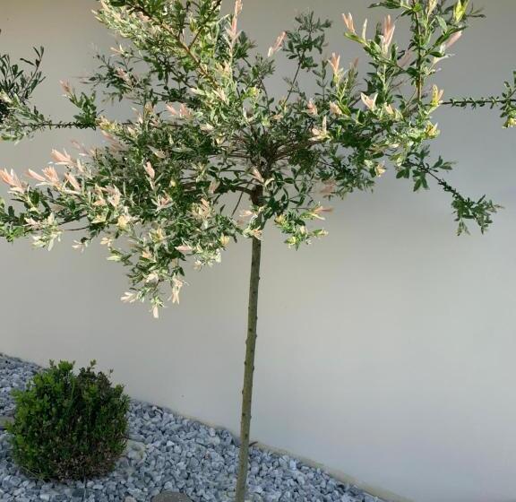 צימר L’autre Nuit