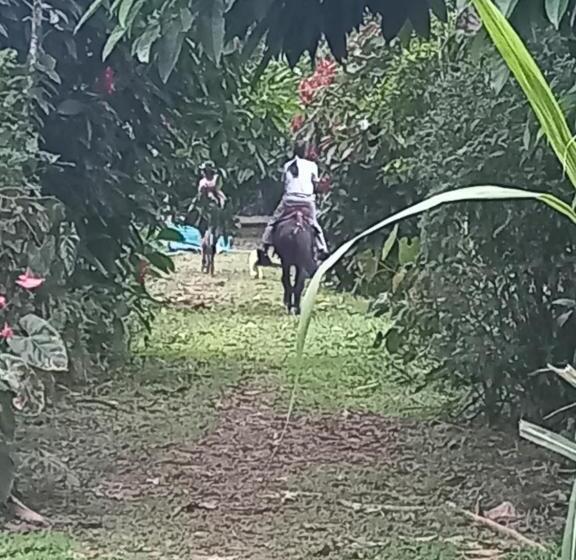 فندق Finca La Esperanza
