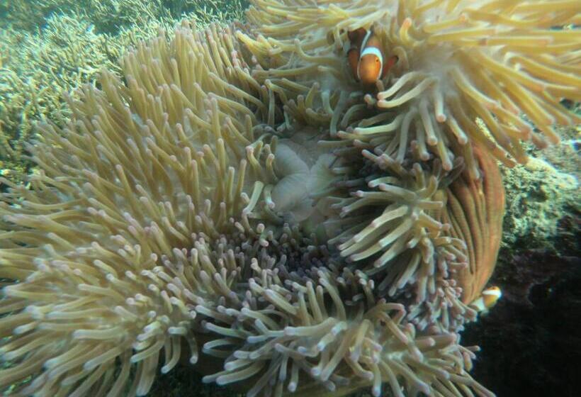 پانسیون Or Mandira Guest House