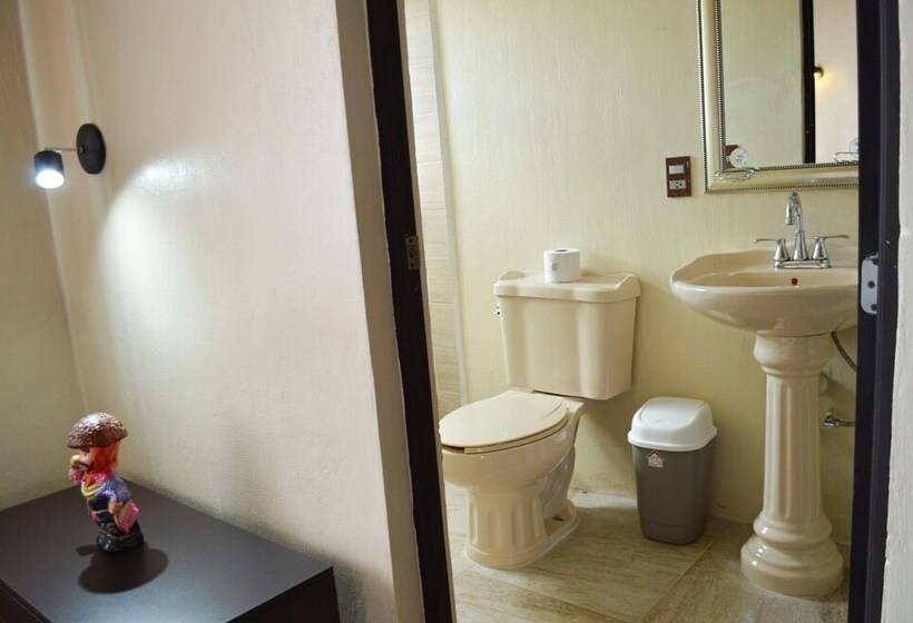 Отель Oyo Casa Rotter
