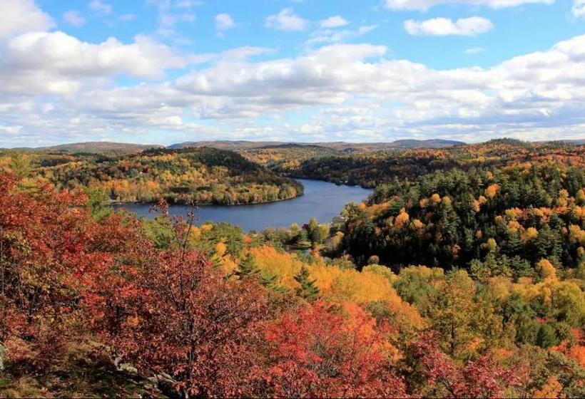 Пансион Nature Eco Suite In Wakefield Quebec