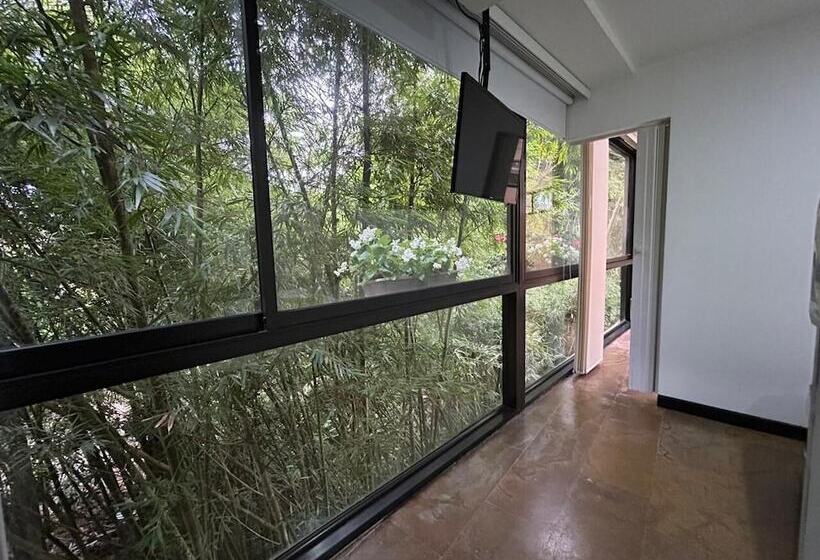 پانسیون Room In Bb   Suite Presidencial En Hotel Proximo Al Aeropuerto