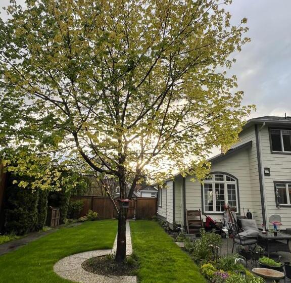 پانسیون Whitewater Cottage