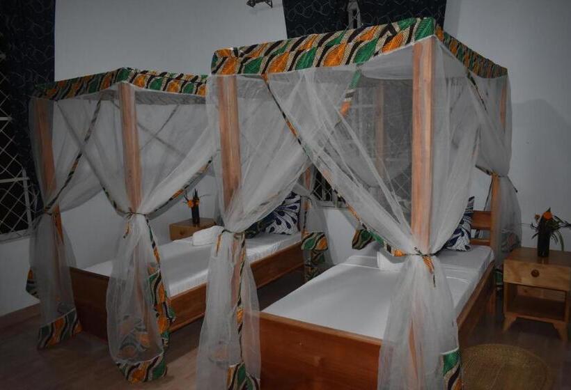 هتل Kilimanjaro Accommodation