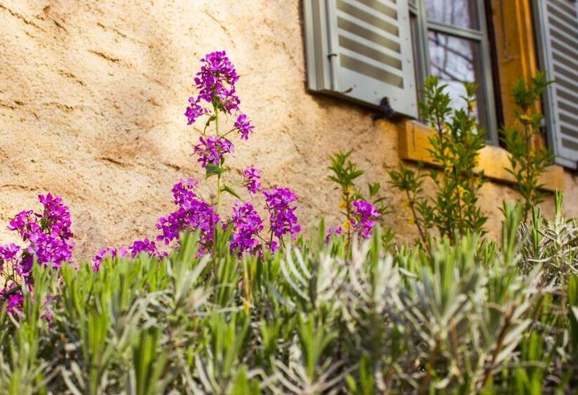 مبيت وإفطار Aux Ronzières