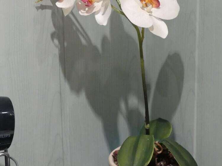 ベッドアンドブレックファースト Chambres D Hôtes Les Gragniotes