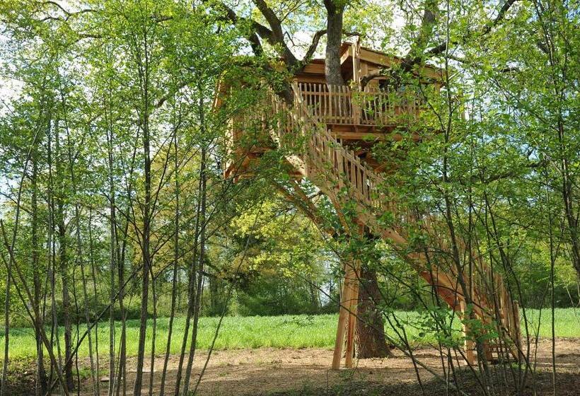 צימר La Cabane Du Vieux Chêne
