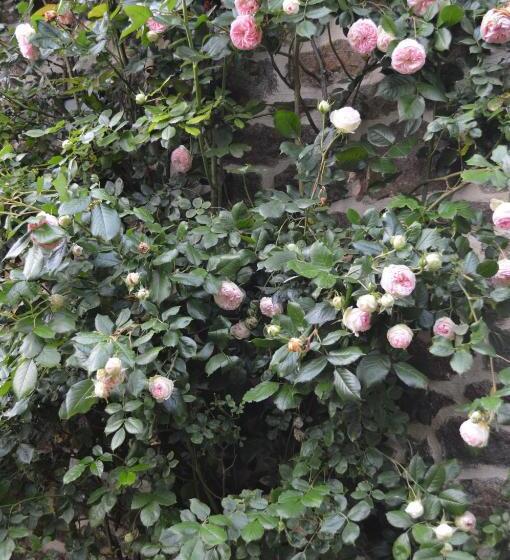 住宿加早餐 Le Domaine
