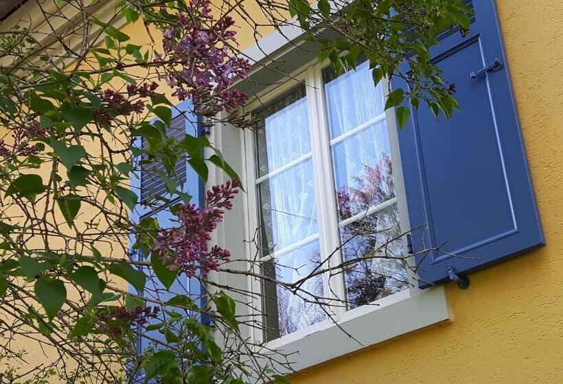 住宿加早餐  Les Volets Bleus Alsace Vosges