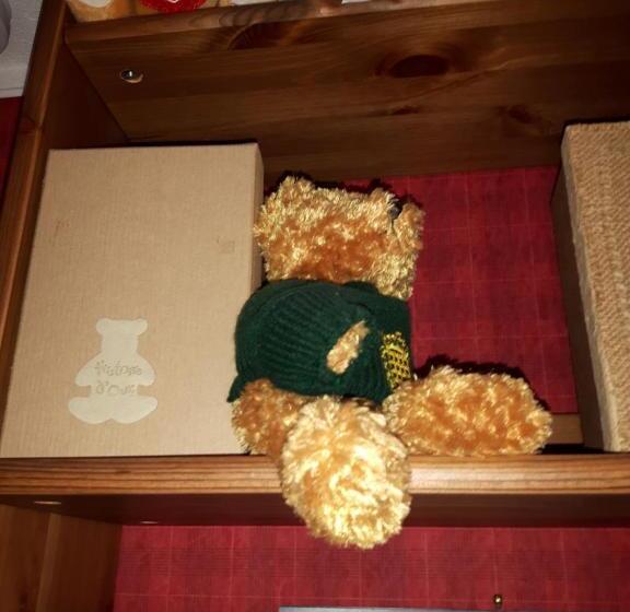 住宿加早餐  Les Volets Bleus Alsace Vosges