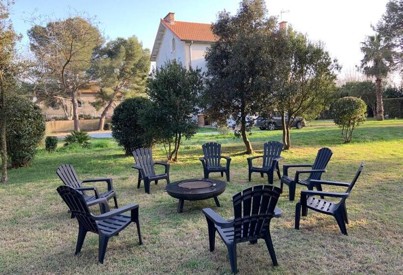 Bed and Breakfast Un Nid En Camargue