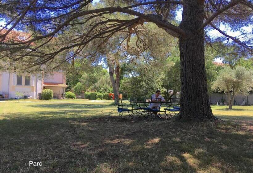Bed and Breakfast Un Nid En Camargue