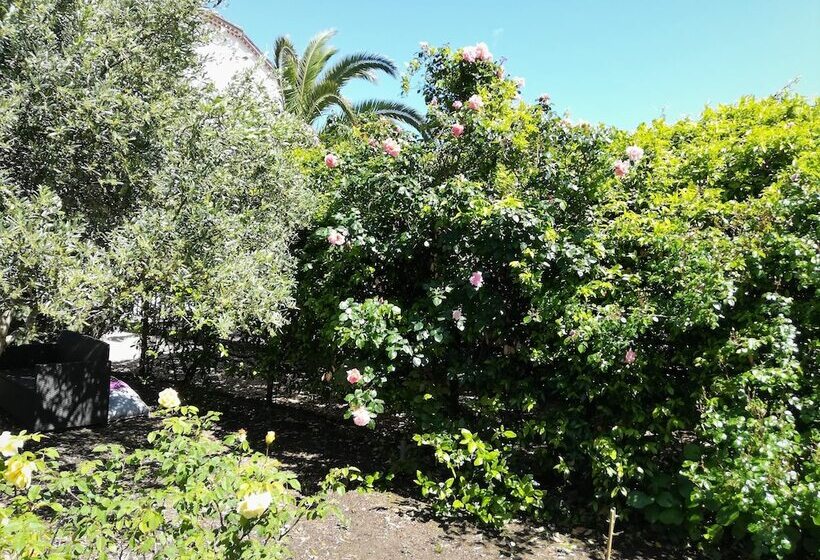 Bed and Breakfast Villa Angel Spa