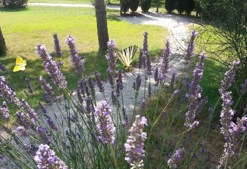 Bed and Breakfast Villa Des Cammaous