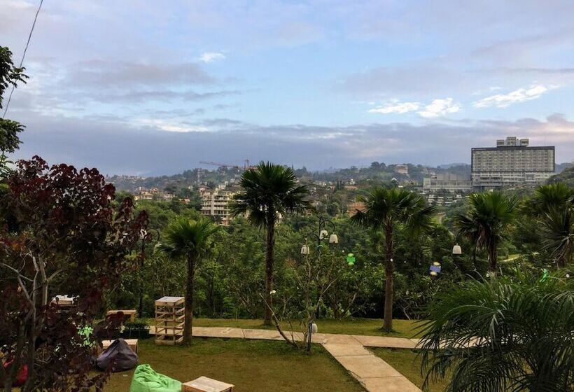 Fotos del hotel Clove Garden Hotel & Residence:  3