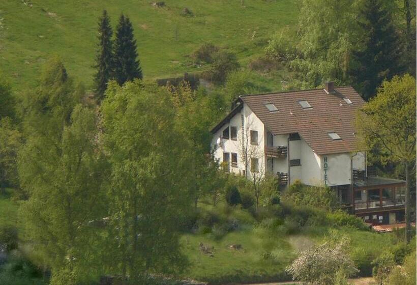 ホテル Gästehaus Heller