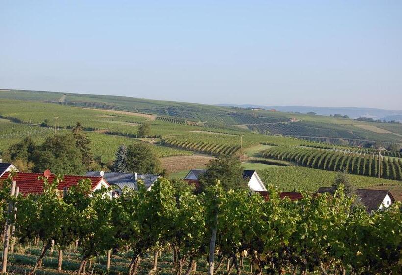 ホテル Heinrichs Winery Bed & Breakfast