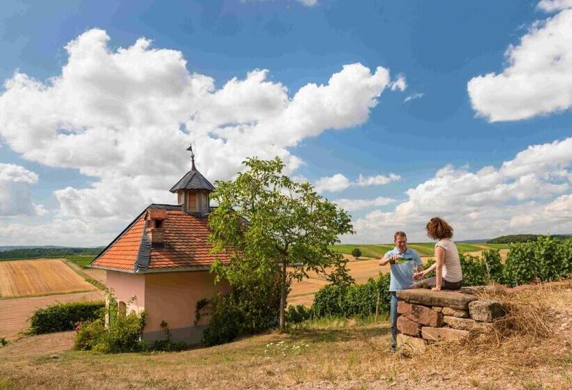 ホテル Heinrichs Winery Bed & Breakfast