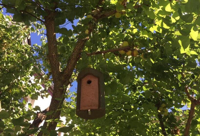 ホテル Jugendstil Hof