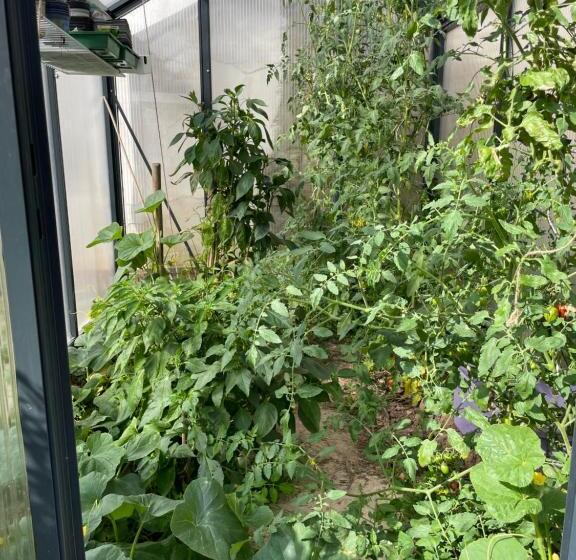 ホテル Jugendstil Hof