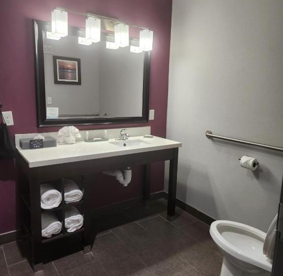 Отель La Quinta By Wyndham Dallas Grand Prairie North