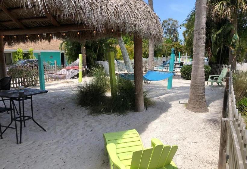 فندق My Sarasota Getaway