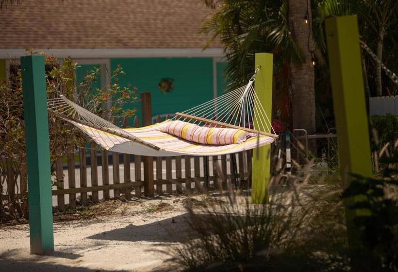 فندق My Sarasota Getaway