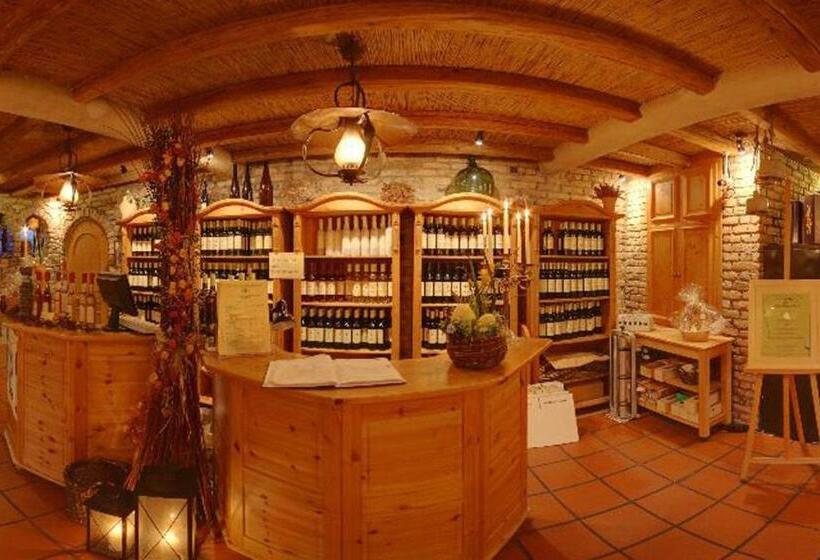 酒店 Weingut Magdalenenhof