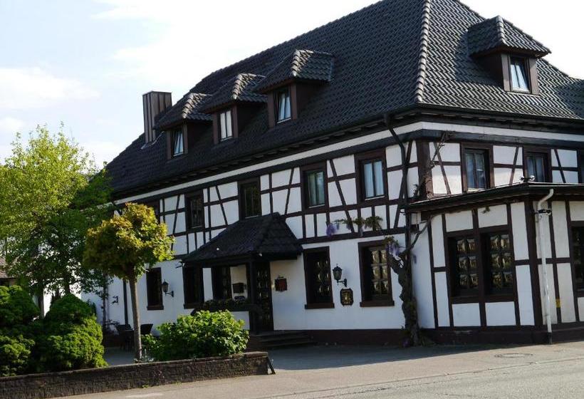 هتل Schwan