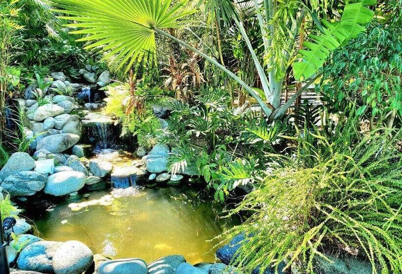 هاستل Hidden Palms Inn And Resort